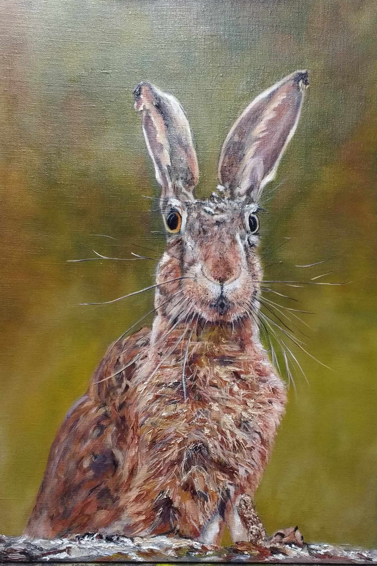 Hare Progression