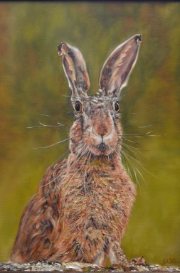 Hare Prints